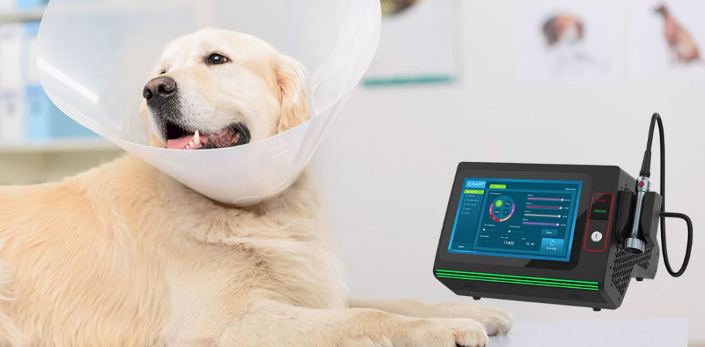 DOG LASER THERAPY​