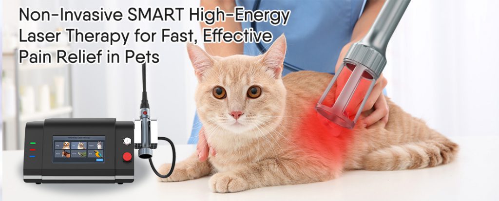 Class 4 Laser Therapy For Cats (2)