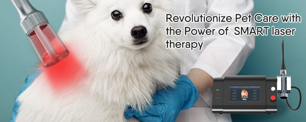 Laser Treatment for Arthritis in Dogs