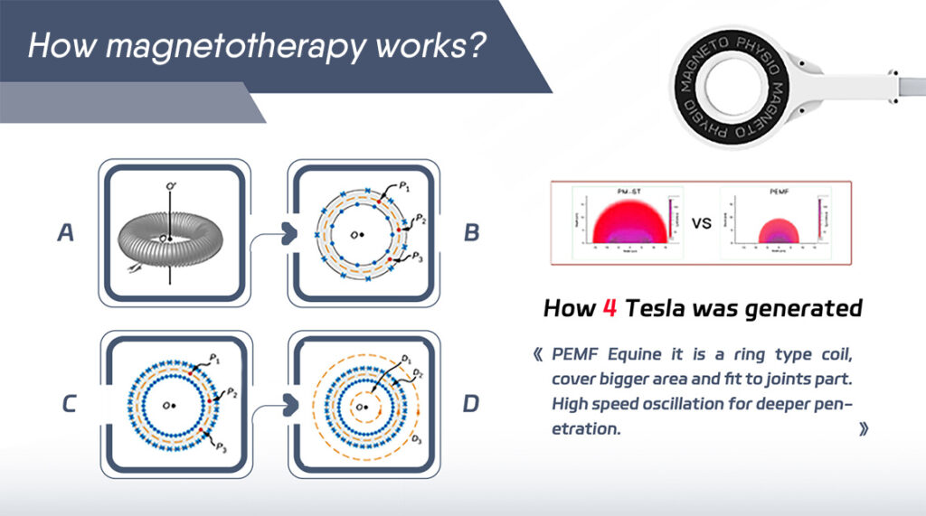 How magnetotherapy works