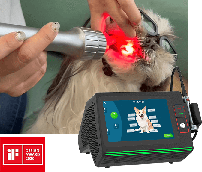 VETERINARY LASER THERAPY