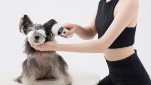 Dog Cold Laser Therapy