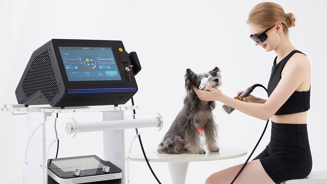 Laser therapy for dogs